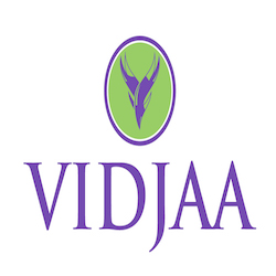 one of my current projects, Vidjaa digital marketing e-learning for small business